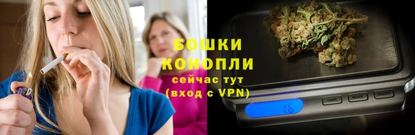 дживик Аркадак
