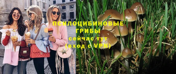 марки nbome Алексеевка