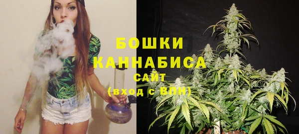 дживик Аркадак