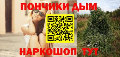 ГАЛЛЮЦИНОГЕННЫЕ ГРИБЫ Кинель
