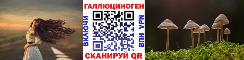 гидра ссылки  Кирово-Чепецк  Галлюциногенные грибы мицелий 